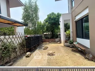 Spacious backyard with tortoises, perfect for nature lovers seeking tranquility and unique outdoor space.