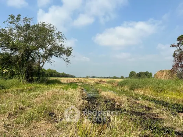 image_rental-16756011