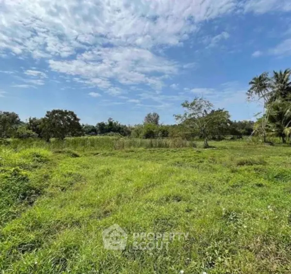 image_rental-23458596