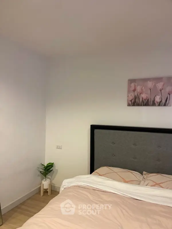 image_rental-31700747