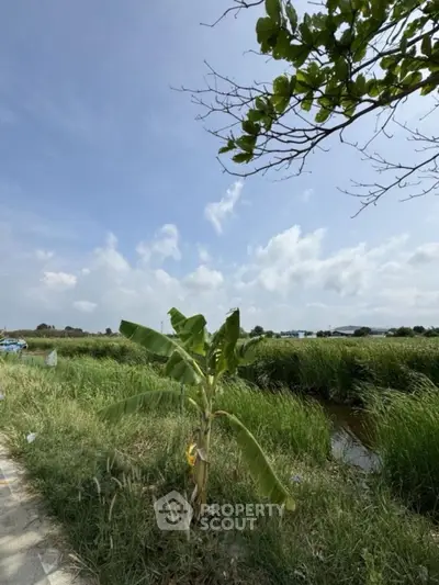 Scenic rural landscape with lush greenery and open sky, perfect for serene living.