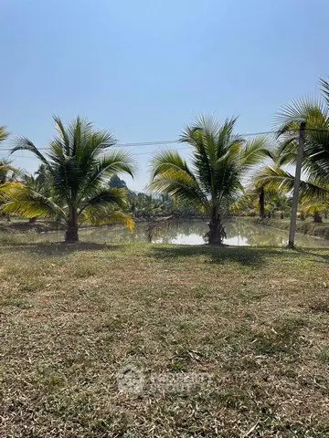 Scenic view of lush garden with palm trees and serene pond under clear blue sky.