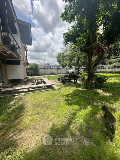 Spacious backyard with lush greenery and partial house view under a sunny sky.