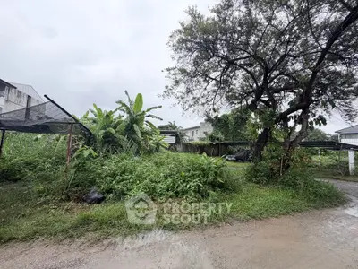 Spacious plot of land with lush greenery and mature trees, ideal for development opportunities.