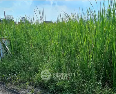 Screenshot 2569-04-15 at 14.50.58.jpg