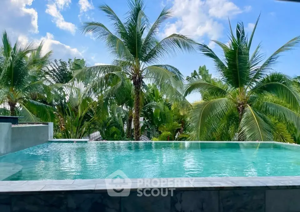 Stunning tropical pool with lush palm trees and clear blue sky, perfect for relaxation.