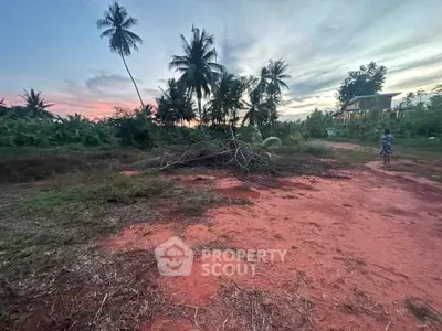 Expansive plot of land with lush palm trees and serene sunset view, ideal for development opportunities.