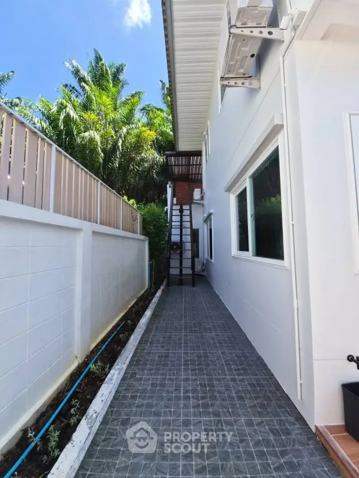 Charming side pathway of a modern home with lush greenery and sleek design.