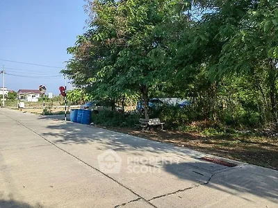 Quiet suburban street with lush greenery and clear blue sky