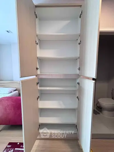 Spacious built-in storage cabinet in modern apartment interior