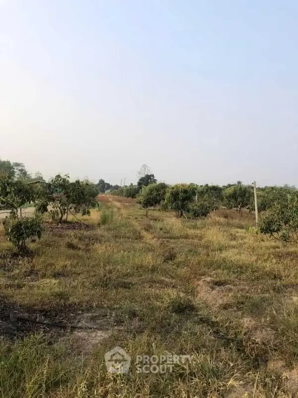 image_rental-17154773