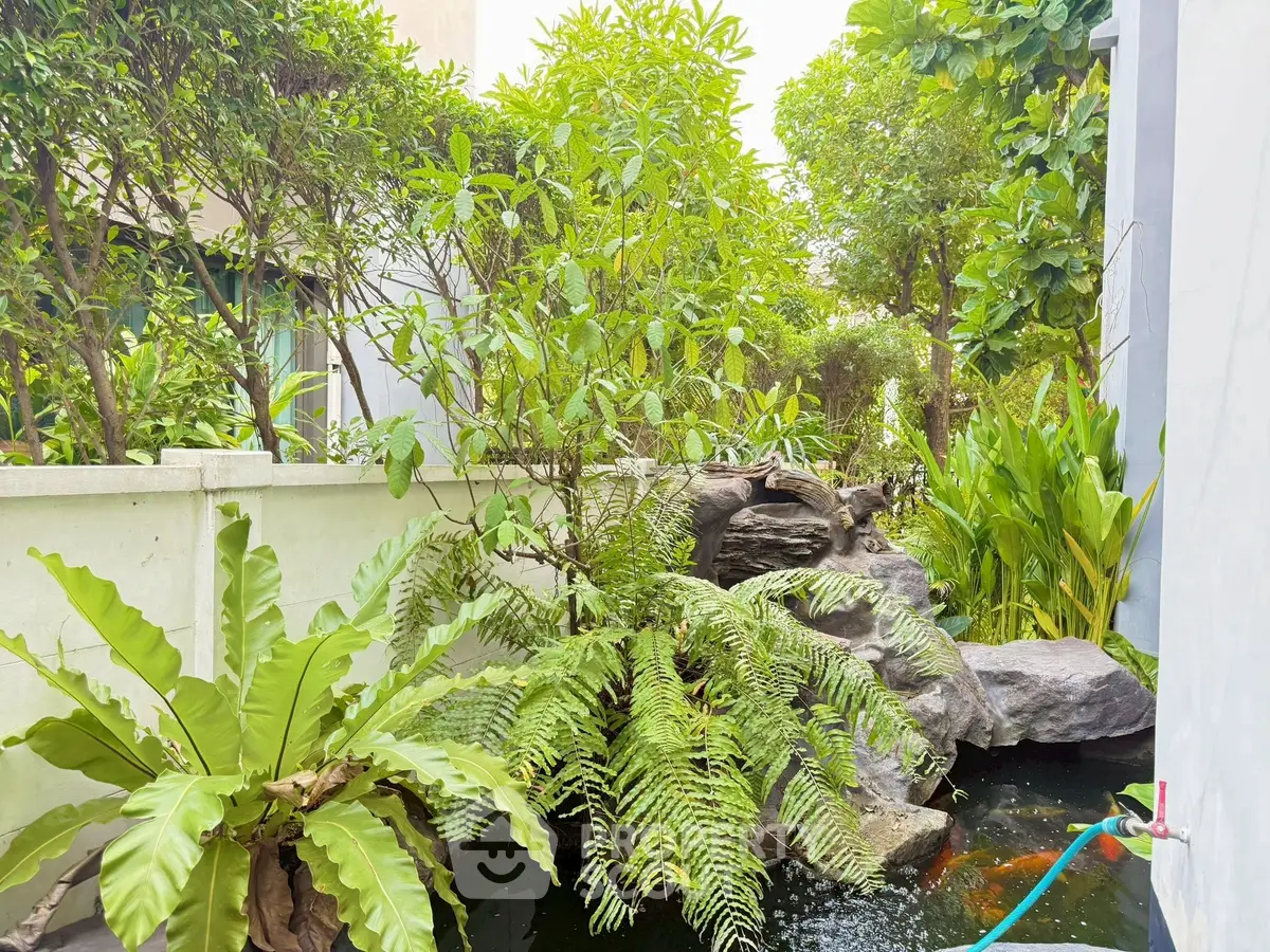 Lush garden with water feature in modern residential property, offering serene outdoor living space.