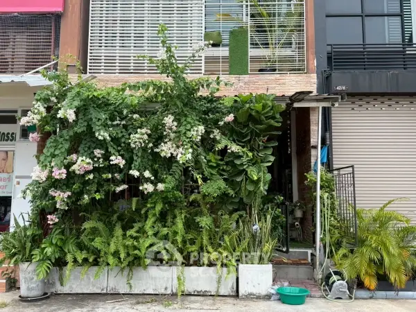 image_rental-29509910