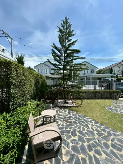 image_rental-28587888