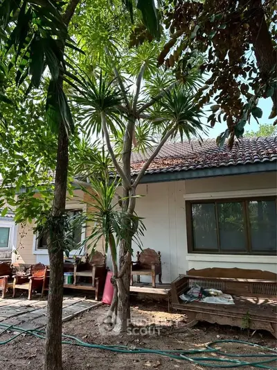 Charming backyard with lush greenery and cozy outdoor seating area, perfect for relaxation and entertaining.