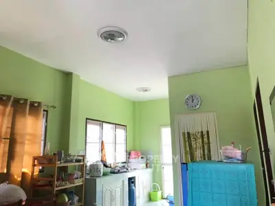 Bright green kitchen with ample natural light and organized storage space.
