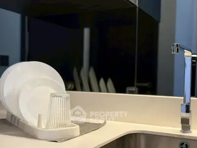 Modern kitchen sink with sleek faucet and dish rack in stylish home