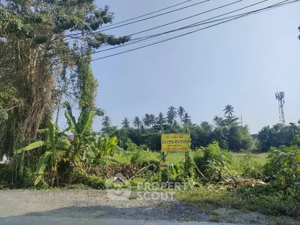 image_rental-11463107