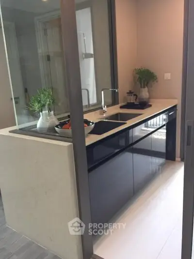 Modern kitchen with sleek black cabinets and elegant countertop in a contemporary apartment.