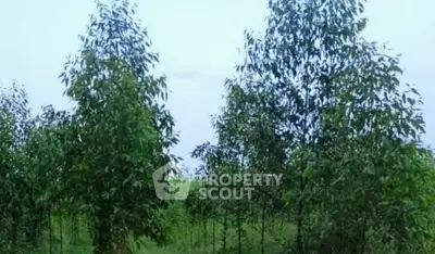 Screenshot 2569-02-21 at 23.37.48.jpg