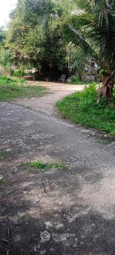 Charming rural property with lush greenery and a serene pathway, perfect for nature lovers seeking tranquility.