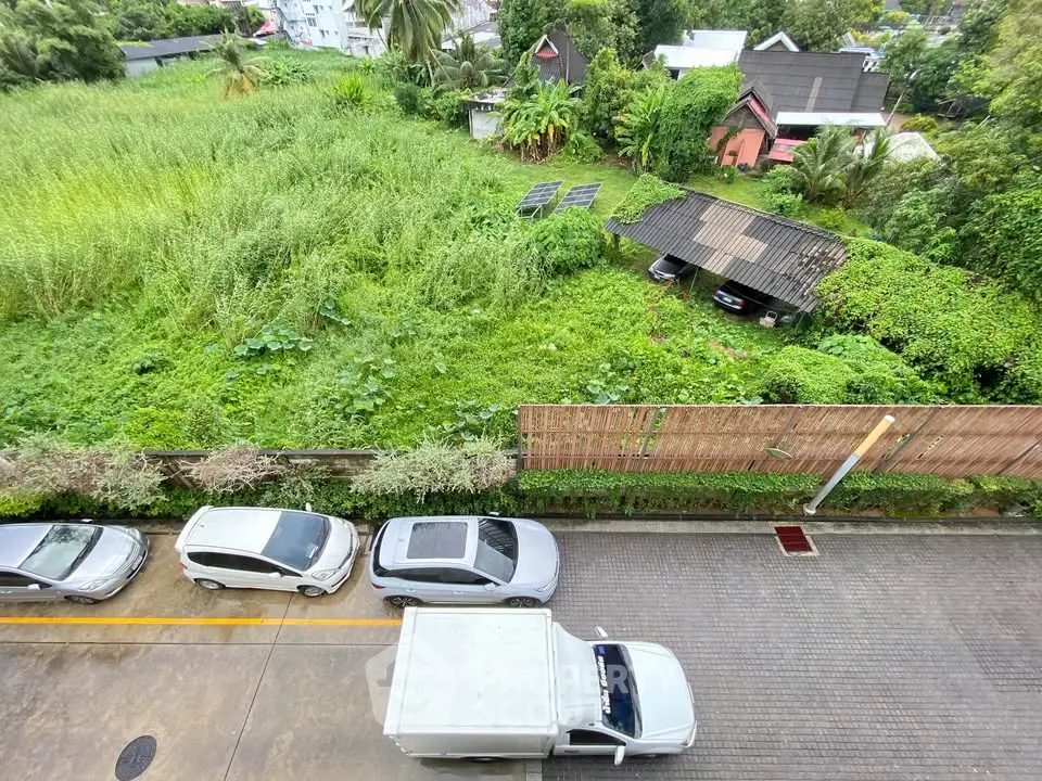 Aerial view of lush garden and residential area with parked cars on street.