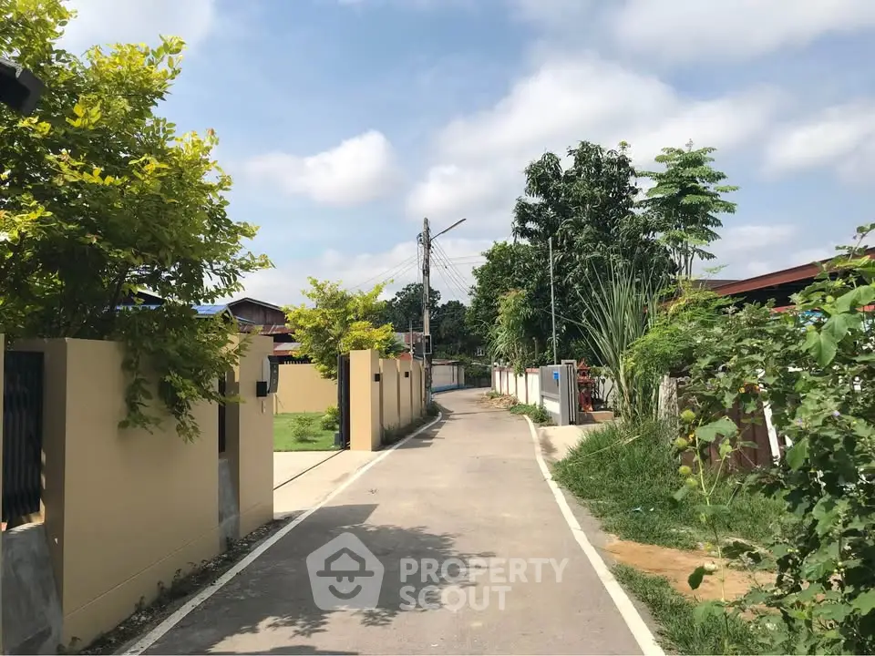 Charming residential street with lush greenery and modern homes under a clear blue sky.