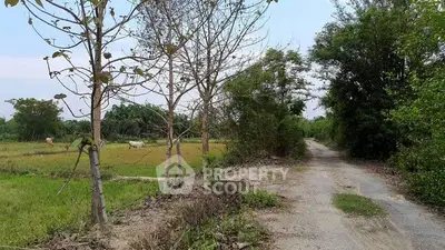 Scenic rural land with lush greenery and a dirt road, ideal for development or agriculture.