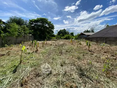 Expansive land plot with lush greenery and clear blue sky, ideal for development or agriculture.