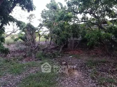 Rustic property with lush greenery and mature trees, ideal for nature lovers seeking tranquility.