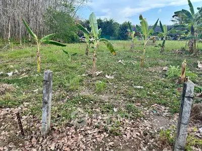 image_rental-30277760