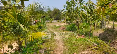 Lush green land plot with tropical trees, ideal for development or agriculture.