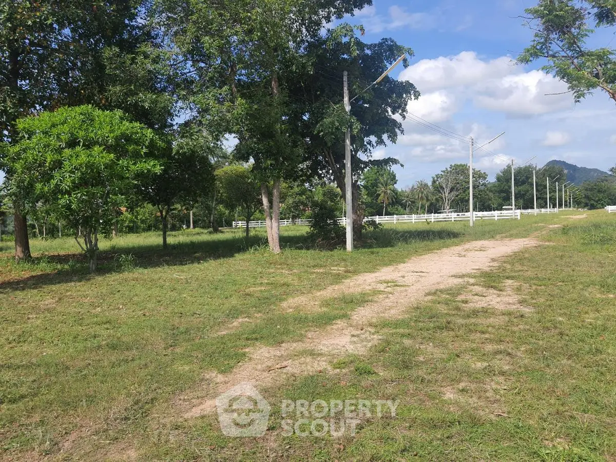 Scenic open land with trees and pathway, ideal for development or agriculture.