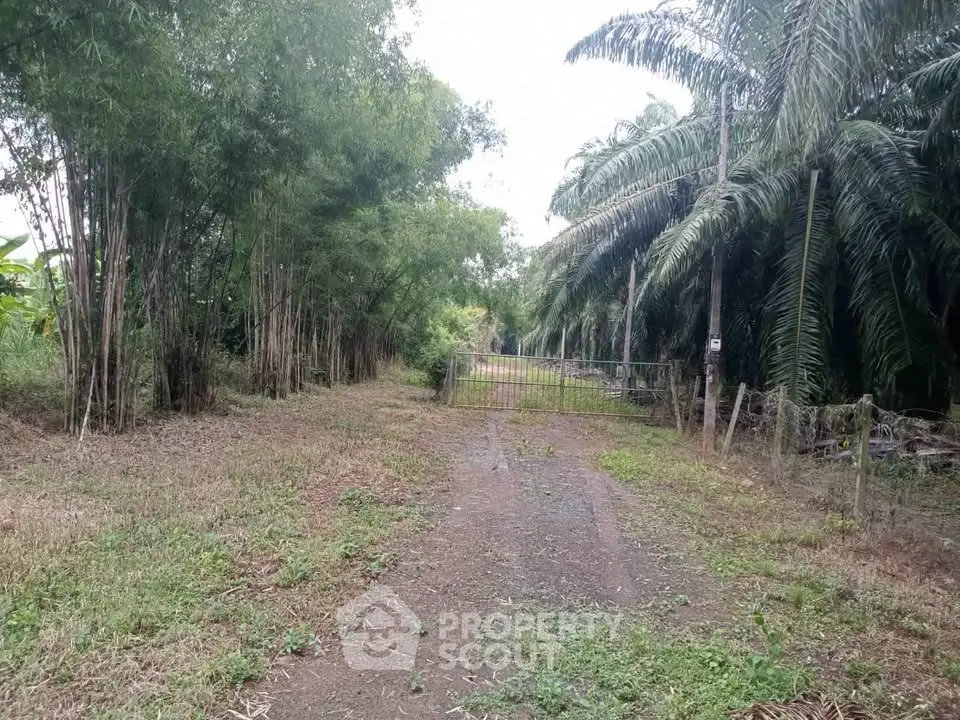 Scenic rural property entrance with lush greenery and a rustic gate, perfect for nature lovers seeking tranquility.