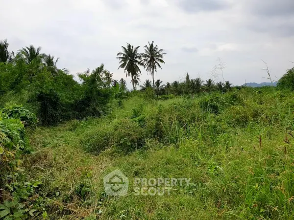 image_rental-26757351