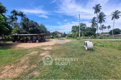 Expansive land plot with lush greenery and tropical palm trees, perfect for development or investment opportunities.