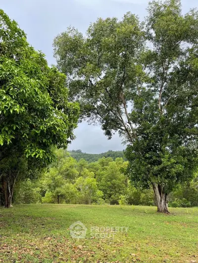 Scenic view of lush green landscape with trees and hills, perfect for nature lovers.