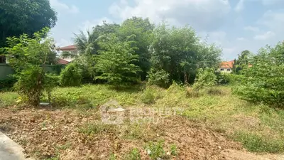 Prime residential land plot with lush greenery, perfect for building your dream home in a serene neighborhood.