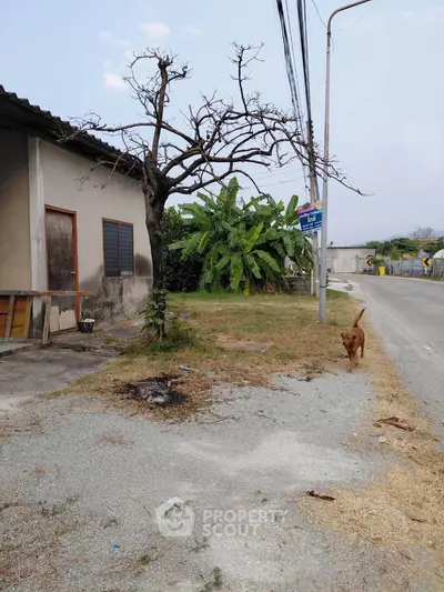 Charming rustic property with potential, featuring a spacious yard and mature trees, ideal for renovation enthusiasts.