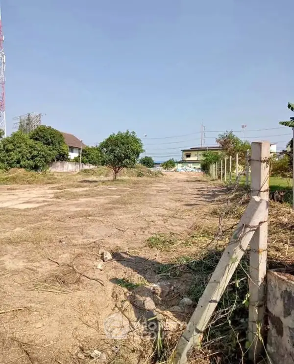 image_rental-29528237