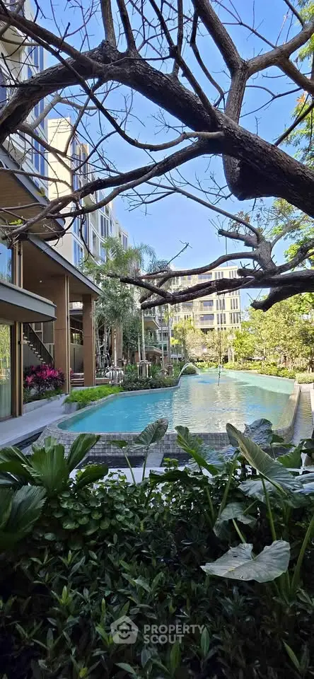 image_rental-29018045