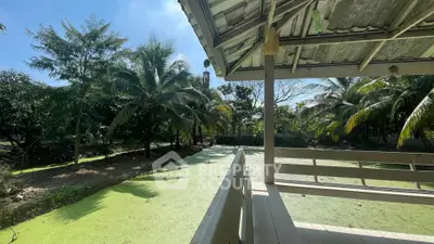 Charming tropical garden view from a rustic wooden balcony