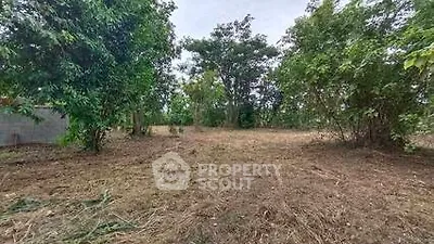 image_rental-21891352