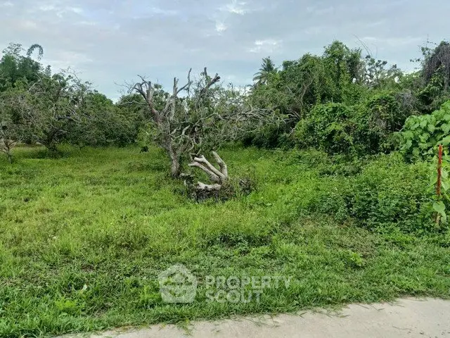 Lush green land with trees, perfect for development or agriculture, offering serene natural surroundings.