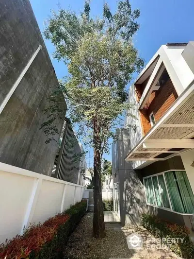 Modern residential building exterior with lush tree and clear blue sky