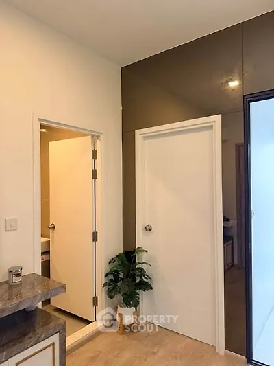 Modern interior with two white doors and a small plant, showcasing sleek design and functionality.