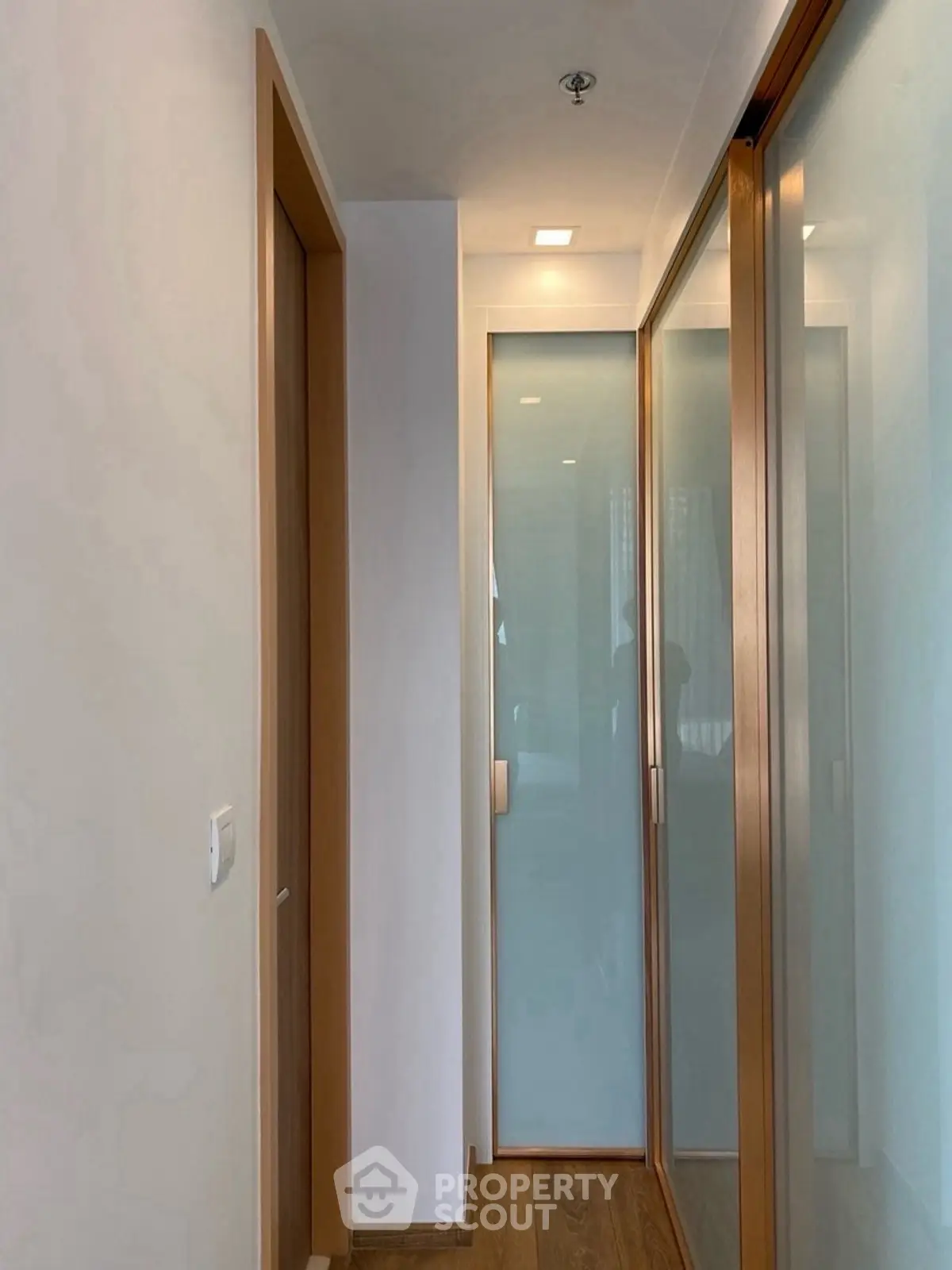Modern hallway with wooden doors and frosted glass panels in a stylish apartment.