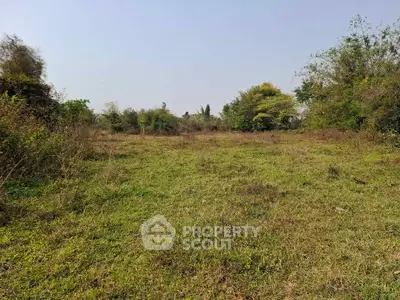 Expansive green land plot with lush vegetation, perfect for development or investment opportunities.
