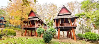 Charming elevated wooden cabins surrounded by lush greenery and autumn foliage, perfect for a serene getaway.