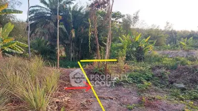 Lush green land plot with tropical vegetation, ideal for development or agriculture.